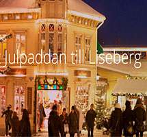 Räk och Laxkryssning Göteborg