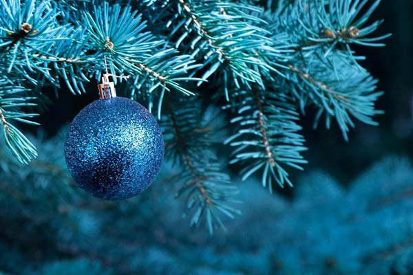 Grönsakstorget blir till en vintertorg under julstaden 2025