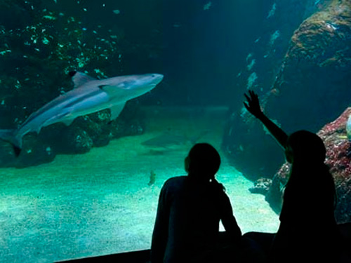 Boka Universeum hotellpaket med fri entré i Göteborg 2024